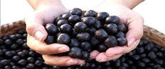ACAI Natalia Escabias